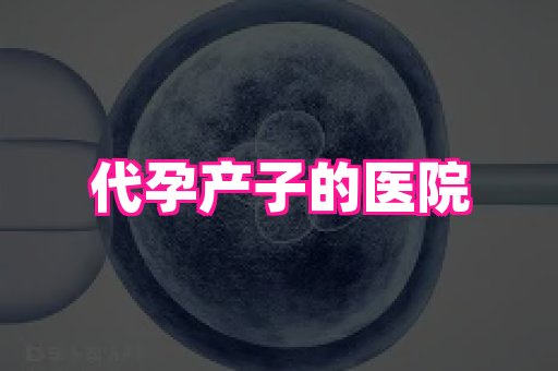 69助孕网 1