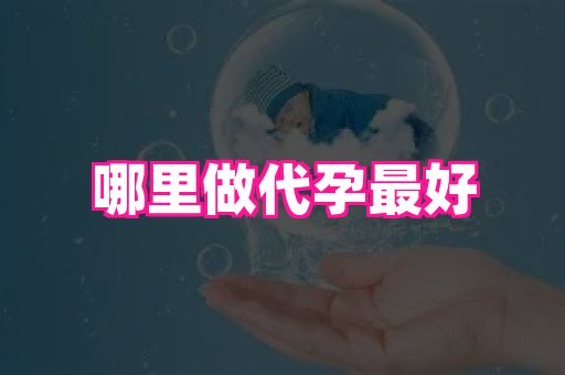 69助孕网 4